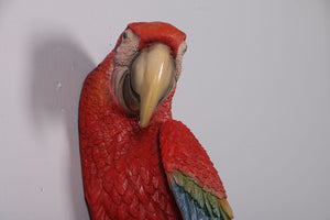 Scarlet Macaw-JR 190159 – Jolly Roger Lifesize Models